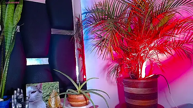 Snapshot of RyanRizzo chatting on January 22, 7:24 pm RyanRizzo online show from January 22, 7:24 pm