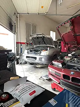 donnuozfutura online show from February 12, 9:42 am