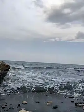 dhaadhawe online show from March 19, 11:13 am