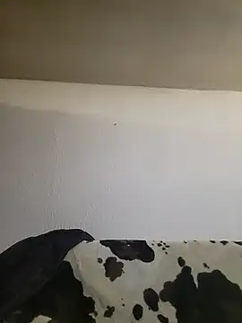 Zgodanilep online show from February 15, 5:39 pm