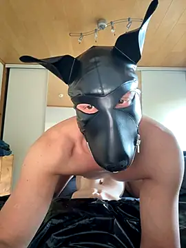 PlayDog123 online show from November 7, 1:14 pm