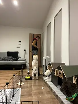 kensnb online show from January 8, 8:39 pm