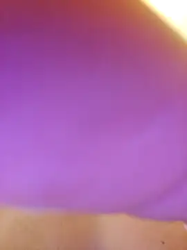 massivemax online show from October 6, 8:41 am