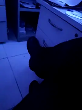 pedritolobito online show from April 11, 3:24 am