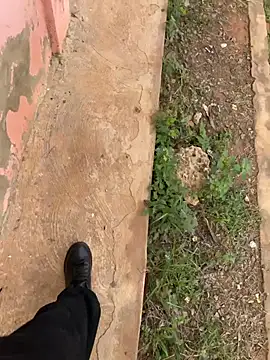 Black mamba madingo online show from February 21, 9:43 am