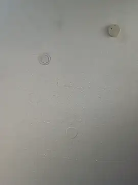 geilerschwanz64 online show from March 20, 10:18 pm