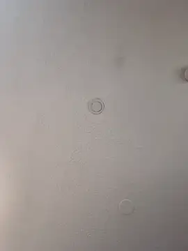 geilerschwanz64 online show from February 20, 8:06 am