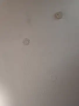 geilerschwanz64 online show from January 18, 11:21 am