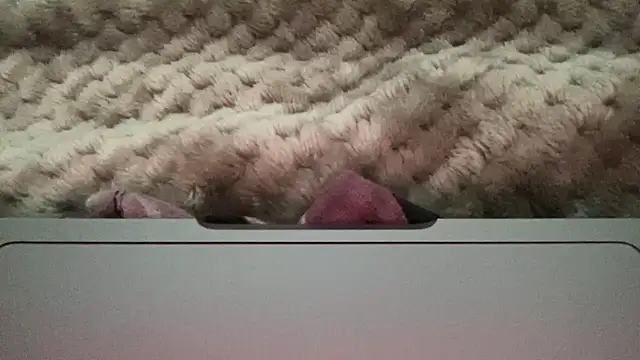 thick n hard online show from December 14, 9:51 am