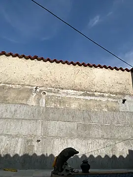 Leo bunny hot online show from September 18, 8:11 pm