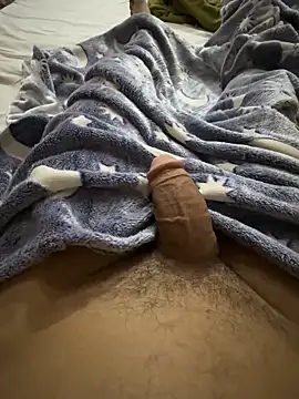 hamed-697 online show from February 1, 8:46 am