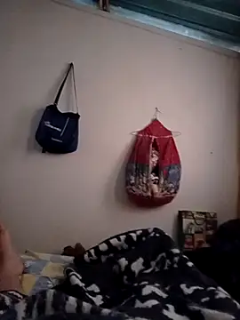 gato- online show from January 1, 4:29 pm