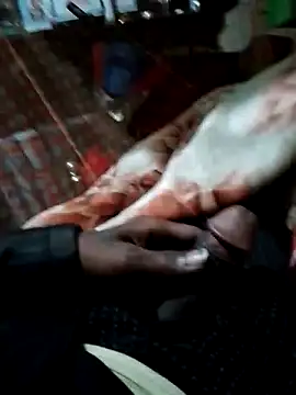 Snapshot of Antor1234 chatting on December 15, 6:37 pm Antor1234 online show from December 15, 6:37 pm