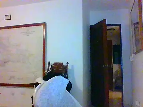 tumarditoperro online show from September 13, 9:32 am