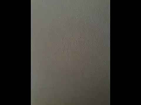 cretanbi online show from November 21, 12:48 pm