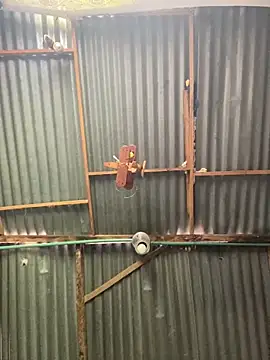 ElNegroRony online show from April 2, 4:04 pm