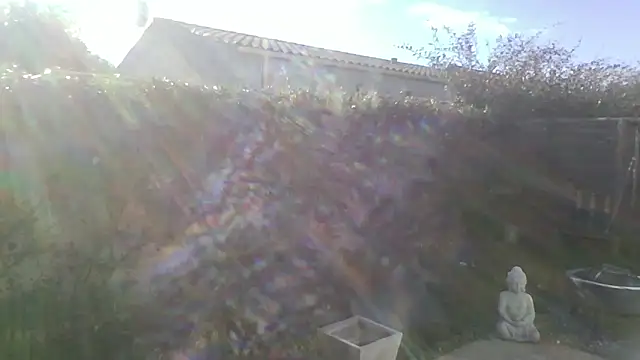 ApollonFit x69 online show from November 17, 11:35 am