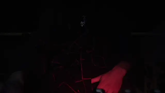 contemptumundi888 online show from February 4, 8:49 pm