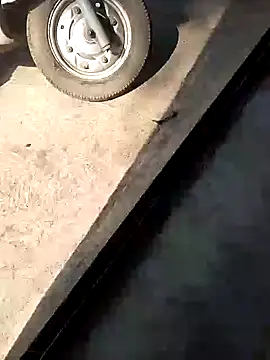 PracticalGum40 online show from December 10, 7:58 am