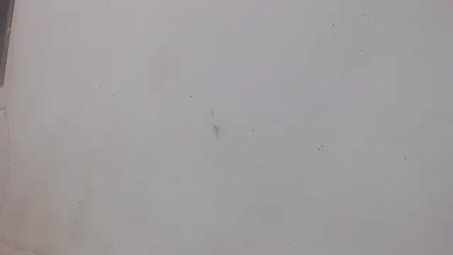 danilo302209 online show from February 1, 1:02 am