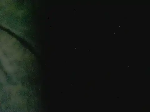 Penis58 online show from October 10, 2:33 pm