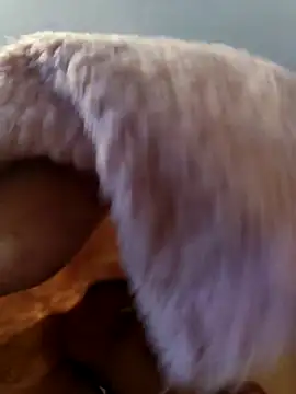 ariel-rick online show from November 5, 6:10 pm