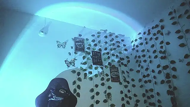 skinny dann online show from February 27, 3:36 am