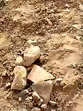 Guru2 online show from January 10, 4:22 am