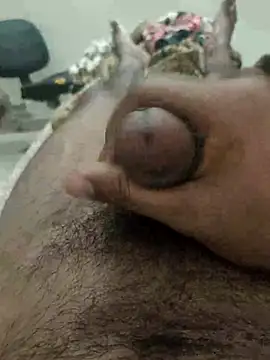 chinchi online show from February 17, 11:34 am