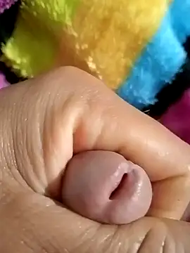 mmarvis za78 93 21cm online show from February 7, 2:51 am