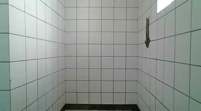 Dube501 online show from January 27, 7:03 am