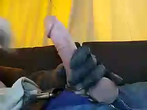 bwcbeat83 online show from January 29, 7:43 pm