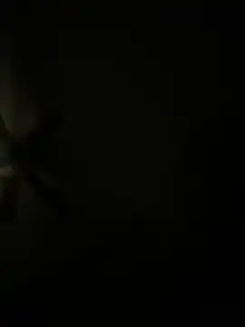 biggzee6 online show from April 17, 11:24 am