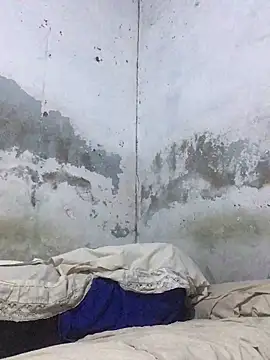 onewinnertee online show from November 17, 3:09 am