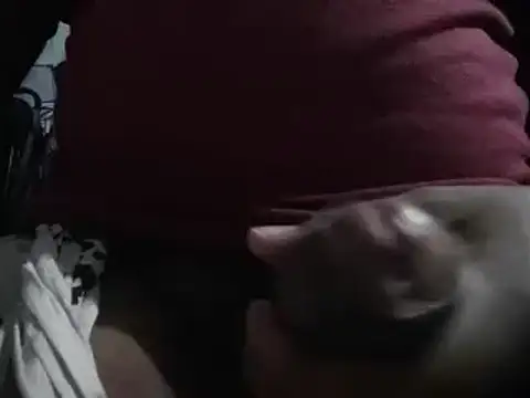 lolboy1234Z online show from January 23, 3:54 pm