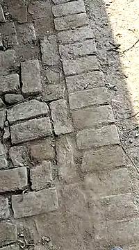 xmanrawan2 online show from February 3, 7:18 am