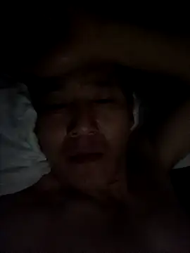 wadmma online show from November 24, 2:34 am