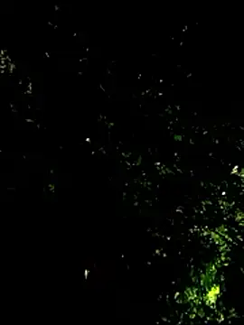 beatle666 online show from January 19, 4:15 am