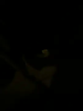 sark0606 online show from February 6, 4:58 pm