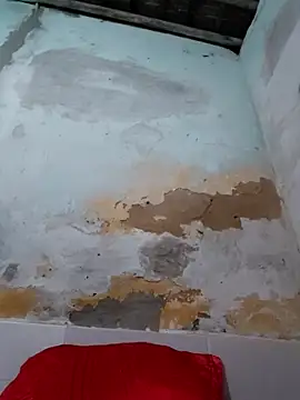 shuelldin online show from October 29, 2:47 am