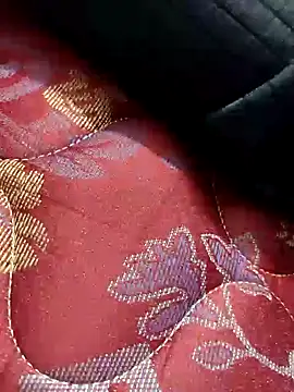 AarthiRaju online show from February 18, 1:44 pm