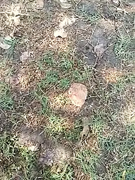 bairobunde online show from April 5, 8:11 am