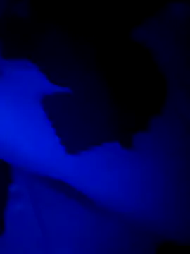 TOPGUN 69 online show from November 2, 6:34 pm