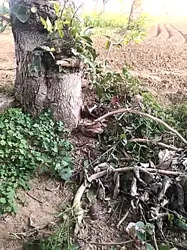 JAZZYS8 online show from October 16, 11:40 am