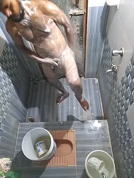 hot integer online show from April 13, 3:34 pm