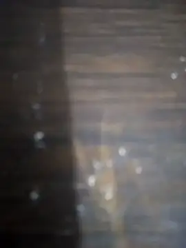 GuilhermeYuree online show from November 30, 12:51 pm