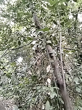 KalendaXL online show from April 5, 4:14 pm