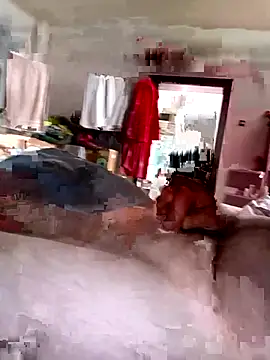 Kubous online show from November 2, 11:03 am