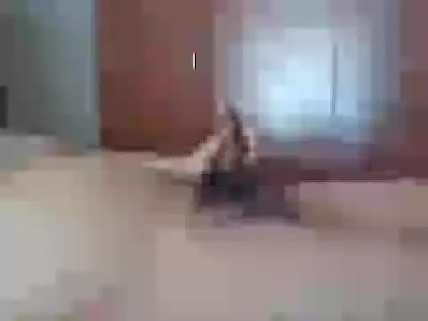 Culazodeantonellarocuzzo online show from February 26, 3:46 pm