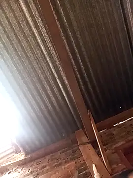 Ridick2025 online show from October 25, 8:10 pm